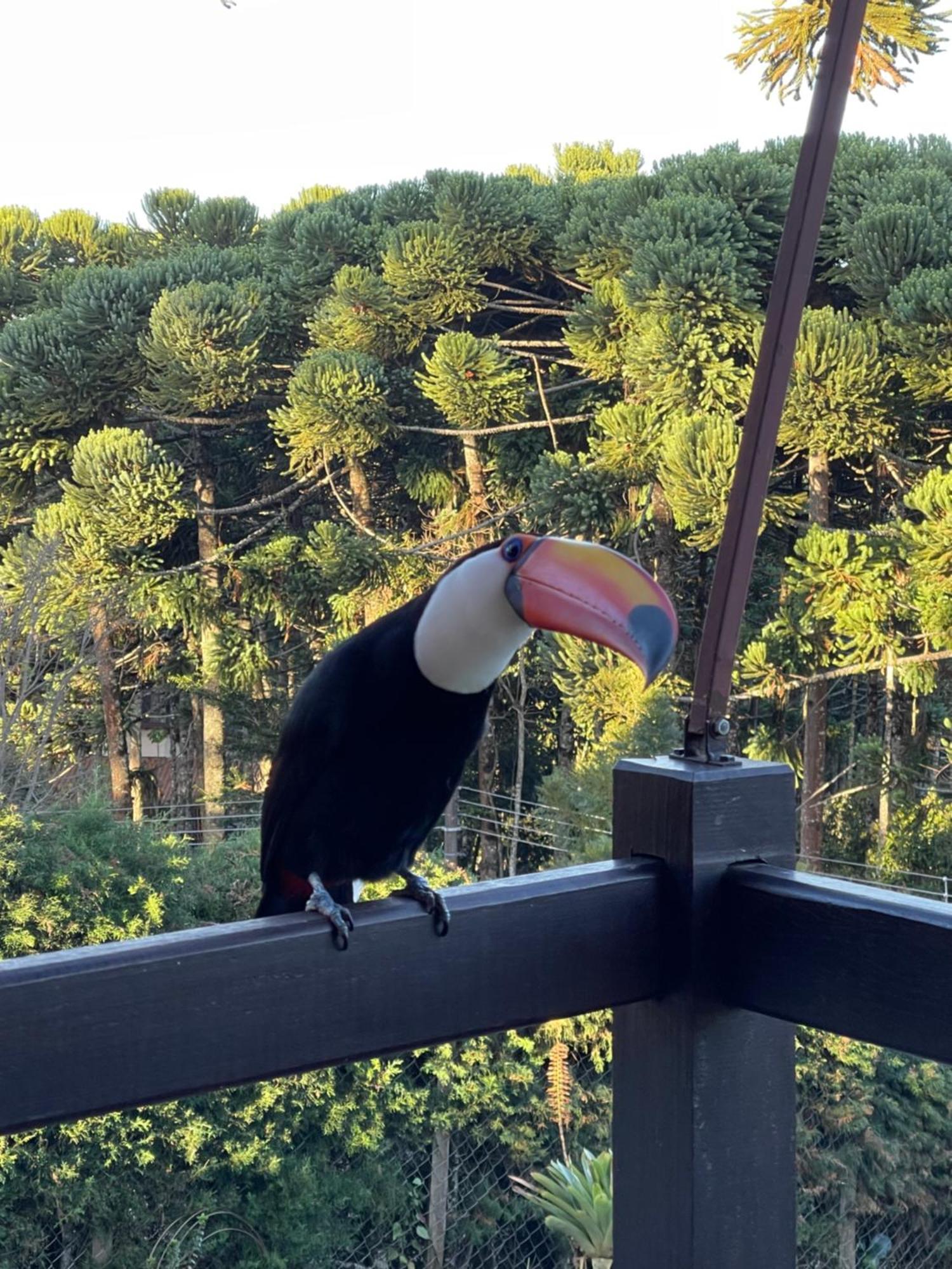 Сasa de vacaciones Refúgio Dos Sonhos - Casa Nas Montanhas - Monte Monte Verde (Minas Gerais)