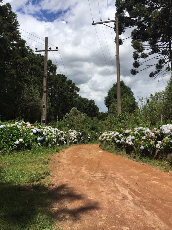 Сasa de vacaciones Refúgio Dos Sonhos - Casa Nas Montanhas - Monte Monte Verde (Minas Gerais)